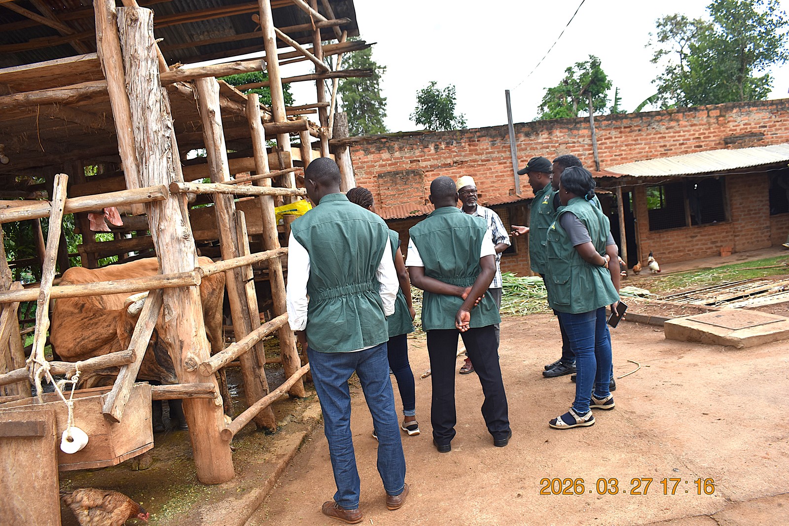 Hajji Kamulegeya briefing the project team on his agricultural enterprises. Phase II of the Resilient Urban Food Systems (RUFS) Project to strengthen urban food systems to withstand climate-related shocks such as floods and droughts by promoting climate-smart agricultural practices that empower farmers to sustain productive, profitable, and resilient operations, ultimately improving livelihoods and contributing to stable urban food supplies by Department of Geography, Geo-Informatics, and Climate Sciences, College of Agricultural and Environmental Sciences (CAES), Makerere University, Kampala Uganda, East Africa supported by the AgriFoSe2030 Programme. Mbale City Training 26th-27th March 2026.