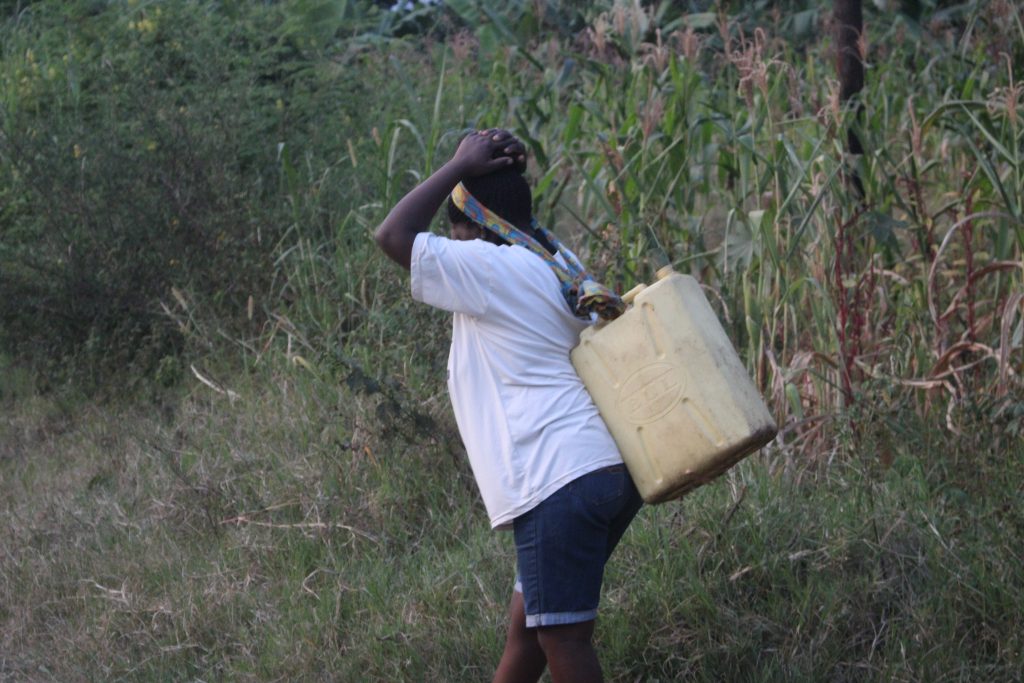 Girl fetching water from river Nyamwamba, Kasese district. The Communities of Hosts and Refugees Transitioning to Climate Resilience (CHART-CR) through workshops project focused on the interlinked dimensions of climate variability, food security, livelihoods, and water availability across diverse ecological contexts, including lowland refugee-hosting areas and mountainous, flood-prone regions through collaborative partnership between Makerere University Kampala Uganda, East Africa, University of Cambridge, and Cambridge-Africa Programme, with financial support from the Mastercard Foundation and Cambridge-Africa.