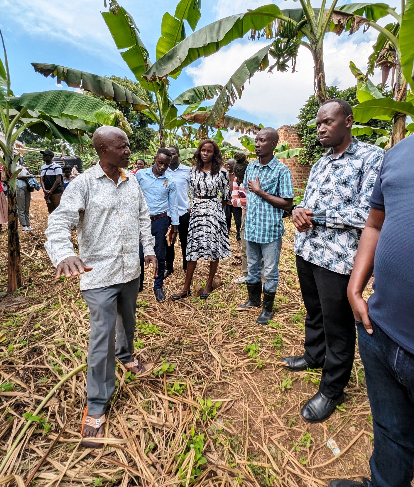 Mr. Kayanja (The Host Farmer) demonstrating how mulching is vital in retaining water and reduce GHG emission from the soil. Towards a Clean Energy and Zero-Emission Society in East Africa: Strengthening Academic and Community Collaboration in Outreach, Training, and Research for Green Growth and a Healthy Environment (TORCH) Project Living Lab model project engagement, 4th May 2026 in Kawumu Village, Luwero District Uganda, East Africa with participation from Makerere University, BOKU University (Austria), Kabale University, academia, local communities, civil society, and international institutions.