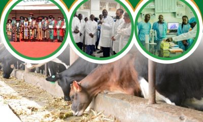Cover page of the CoVAB Annual Report 2025. College of Veterinary Medicine, Animal Resources and Biosecurity (CoVAB), Makerere University, Kampala Uganda, East Africa.