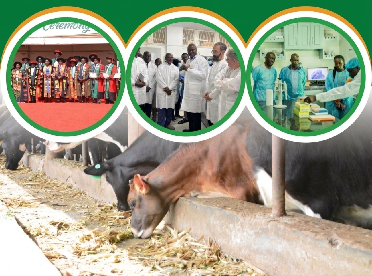 Cover page of the CoVAB Annual Report 2025. College of Veterinary Medicine, Animal Resources and Biosecurity (CoVAB), Makerere University, Kampala Uganda, East Africa.