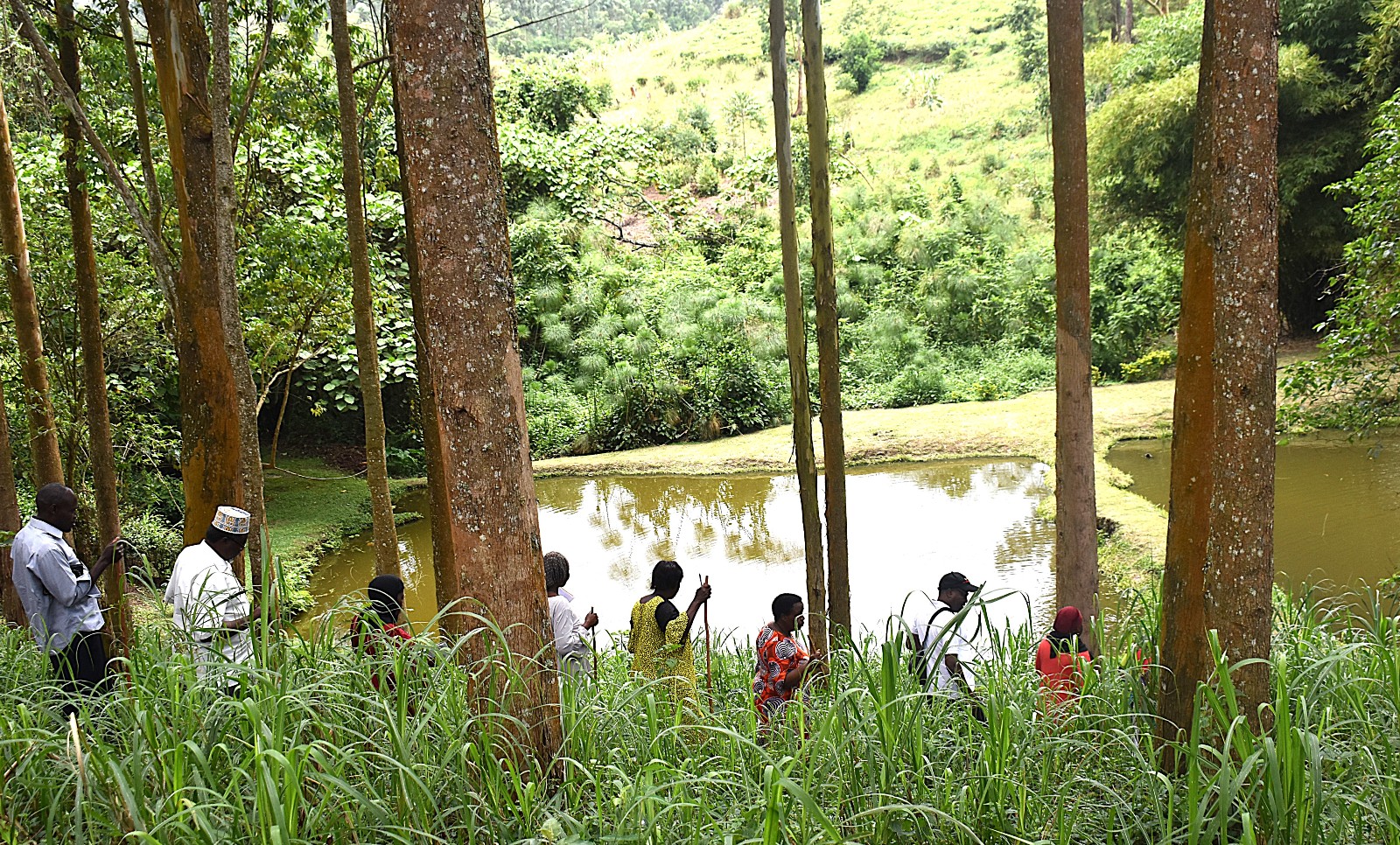 The farmers touring the fish ponds at BIGLAD Agri-Tourism Farm Ltd. Farmers from Mbale City four-day learning exchange programme in Kasese Municipality and Kabarole District to gain new approaches to strengthening urban food production, 23rd-26th September 2026, supported by the Resilient Urban Food Systems (RUFS) Project, led by Prof. Frank Mugagga, Department of Geography, Geo-Informatics and Climatic Sciences, College of Agricultural and Environmental Sciences (CAES), Makerere University, Kampala Uganda, East Africa.
