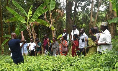 The project team led by Prof. Frank Mugagga together with the farmers at BIGLAD Agri-Tourism Farm Ltd in Kabarole District. Farmers from Mbale City four-day learning exchange programme in Kasese Municipality and Kabarole District to gain new approaches to strengthening urban food production, 23rd-26th September 2026, supported by the Resilient Urban Food Systems (RUFS) Project, led by Prof. Frank Mugagga, Department of Geography, Geo-Informatics and Climatic Sciences, College of Agricultural and Environmental Sciences (CAES), Makerere University, Kampala Uganda, East Africa.