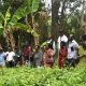 The project team led by Prof. Frank Mugagga together with the farmers at BIGLAD Agri-Tourism Farm Ltd in Kabarole District. Farmers from Mbale City four-day learning exchange programme in Kasese Municipality and Kabarole District to gain new approaches to strengthening urban food production, 23rd-26th September 2026, supported by the Resilient Urban Food Systems (RUFS) Project, led by Prof. Frank Mugagga, Department of Geography, Geo-Informatics and Climatic Sciences, College of Agricultural and Environmental Sciences (CAES), Makerere University, Kampala Uganda, East Africa.