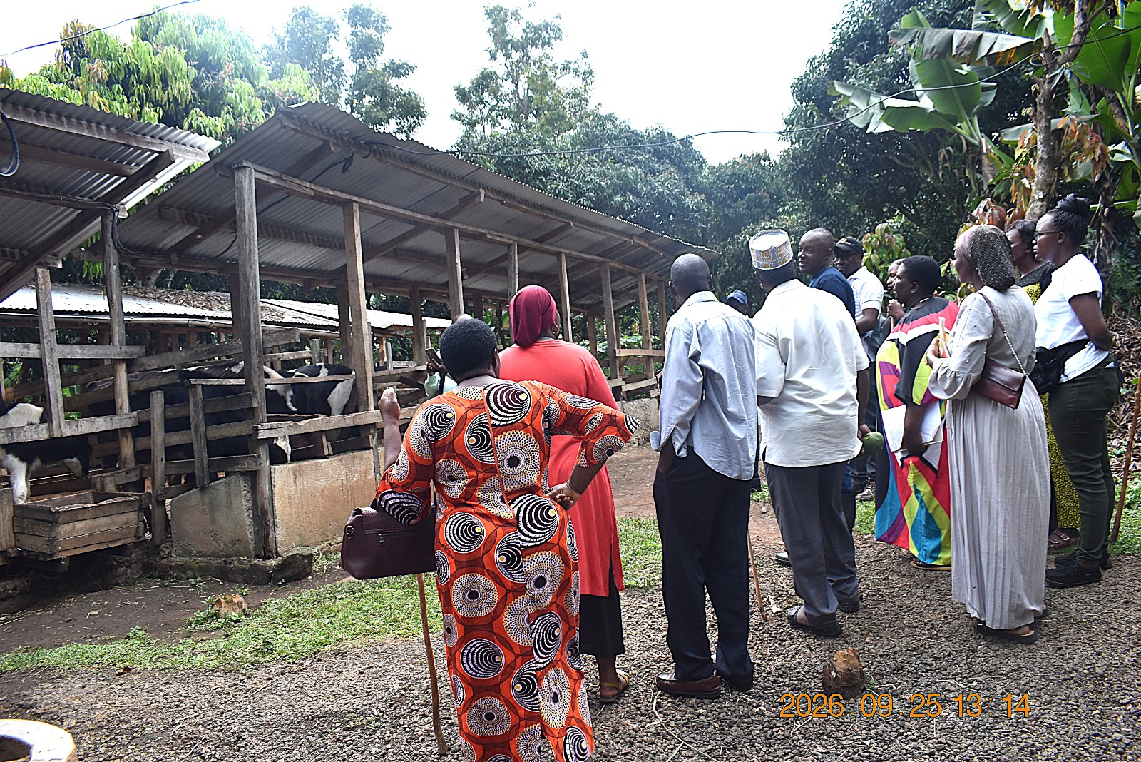 Mr. Bigabwa briefing the team about his livestock enterprise. Farmers from Mbale City four-day learning exchange programme in Kasese Municipality and Kabarole District to gain new approaches to strengthening urban food production, 23rd-26th September 2026, supported by the Resilient Urban Food Systems (RUFS) Project, led by Prof. Frank Mugagga, Department of Geography, Geo-Informatics and Climatic Sciences, College of Agricultural and Environmental Sciences (CAES), Makerere University, Kampala Uganda, East Africa.