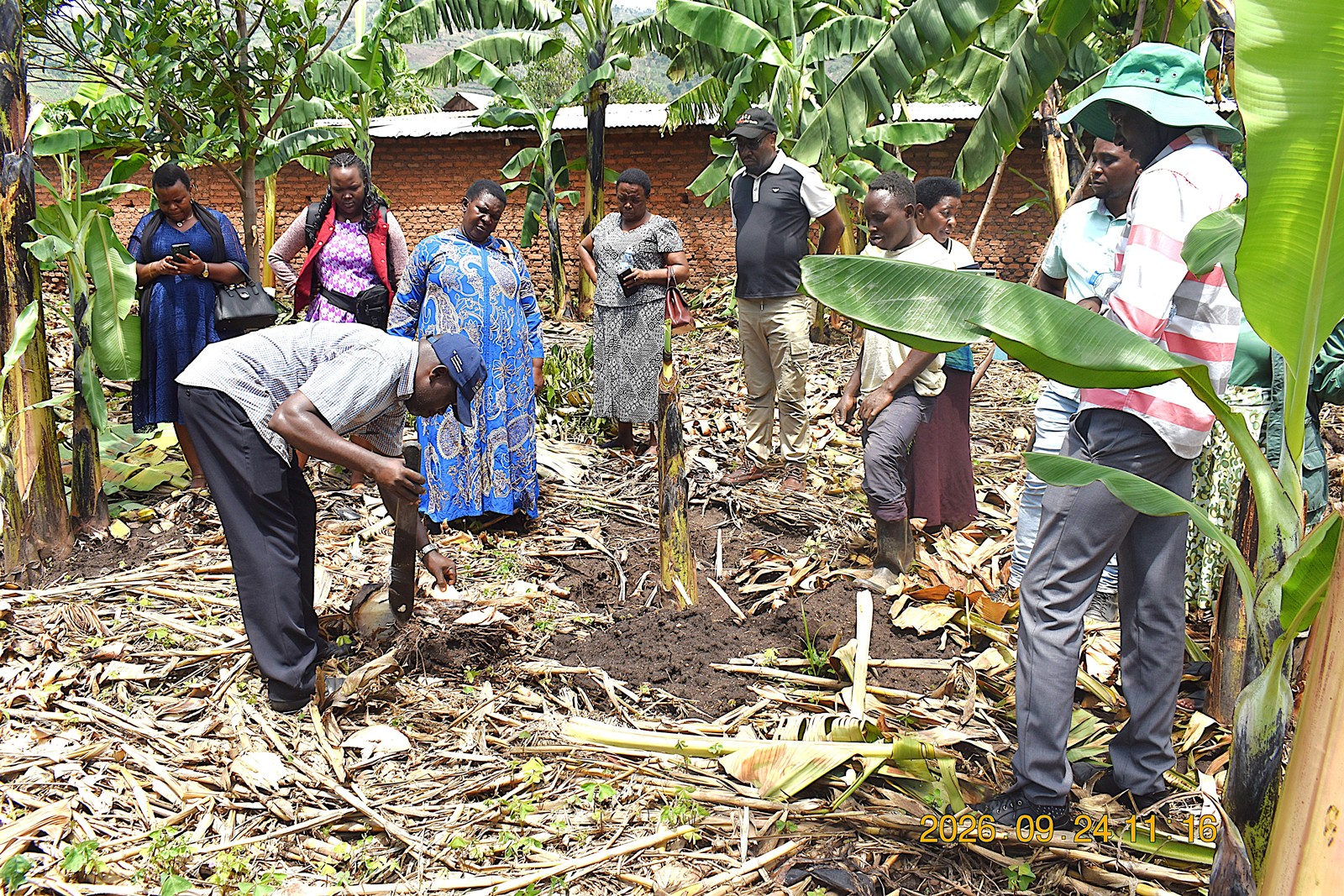Mr. Henry Mbowa from AidEnvironment training the farmers on pest management. Farmers from Mbale City four-day learning exchange programme in Kasese Municipality and Kabarole District to gain new approaches to strengthening urban food production, 23rd-26th September 2026, supported by the Resilient Urban Food Systems (RUFS) Project, led by Prof. Frank Mugagga, Department of Geography, Geo-Informatics and Climatic Sciences, College of Agricultural and Environmental Sciences (CAES), Makerere University, Kampala Uganda, East Africa.