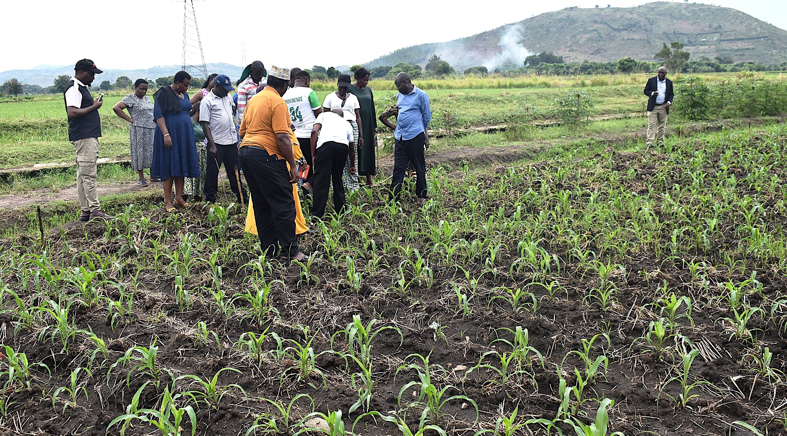 The team being briefed about the process of maize and and rice production at Mubuku Irrigation Scheme. Farmers from Mbale City four-day learning exchange programme in Kasese Municipality and Kabarole District to gain new approaches to strengthening urban food production, 23rd-26th September 2026, supported by the Resilient Urban Food Systems (RUFS) Project, led by Prof. Frank Mugagga, Department of Geography, Geo-Informatics and Climatic Sciences, College of Agricultural and Environmental Sciences (CAES), Makerere University, Kampala Uganda, East Africa.