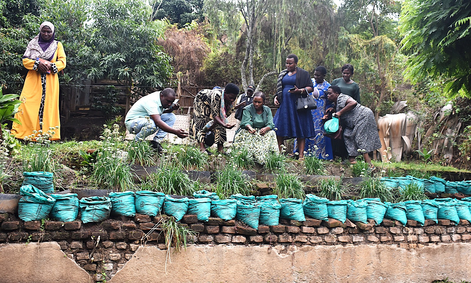 The team also visited Sunice Farm, where vegetable production is the main agricultural enterprise. Farmers from Mbale City four-day learning exchange programme in Kasese Municipality and Kabarole District to gain new approaches to strengthening urban food production, 23rd-26th September 2026, supported by the Resilient Urban Food Systems (RUFS) Project, led by Prof. Frank Mugagga, Department of Geography, Geo-Informatics and Climatic Sciences, College of Agricultural and Environmental Sciences (CAES), Makerere University, Kampala Uganda, East Africa.